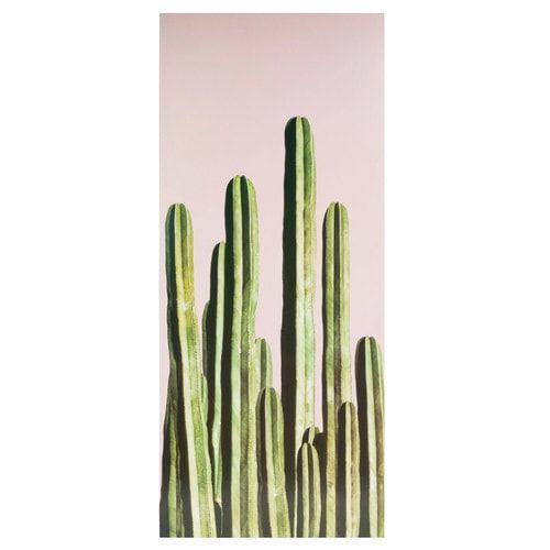 Tableau Cactus